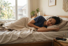 Tidur Siang Bukan Malas, Justru Baik untuk Produktivitas Sehari-hari