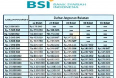 Pinjaman KUR BSI Rp30 Juta: Pembiayaan Mikro Tanpa Agunan untuk UMKM