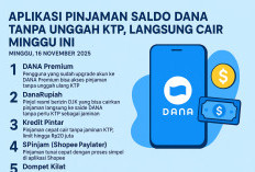 5 Aplikasi Pinjaman Saldo DANA Tanpa Unggah KTP, Langsung Cair Minggu Ini