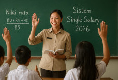 Simulasi Penghasilan Guru Serdik Jika Memakai Skema Single Salary atau Gaji Tunggal