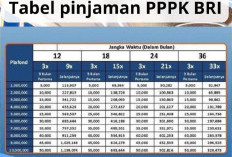 Wajib Tahu! Ini Daftar Bank yang Siap Kucurkan Kredit untuk PPPK Tanpa Ribet