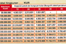 Cek Angsuran Pinjaman Rp200 Juta di BRI: Tenor Hingga 5 Tahun Bagi PNS dan PPPK