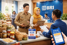 Pinjaman KUR BRI 2026 Hingga Rp100 Juta Tanpa Agunan, Solusi Modal UMKM Termasuk ASN