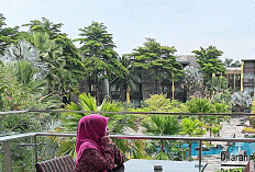 8 Cara Ampuh Menghilangkan Stres Secara Alami untuk Hidup Lebih Tenang & Bahagia