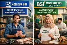 Pinjaman NON KUR BRI vs Pembiayaan NON KUR BSI, Alternatif Modal Usaha di Luar Skema Subsidi