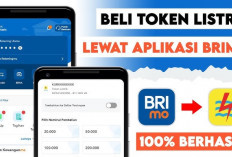 Tak Perlu Lagi ke Kota, IRT di Empat Lawang Kini Bisa Beli Token Listrik Cukup dari Dapur Berkat BRImo