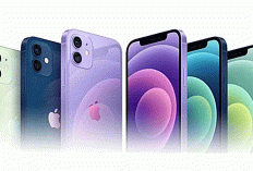 5 iPhone Berkamera Canggih untuk Konten Kreator 2025: Dari Pro Max Hingga Budget-Friendly