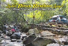 Cuma Modal Motor dan Tenda, Bukit Pinus Paseban Bogor Punya View yang Bikin Enggan Pulang