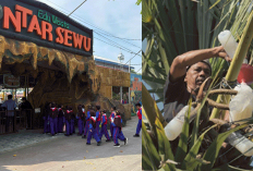 Desa Hendrosari Melejit! UMKM Tumbuh Pesat, Ekonomi Desa Melaju Berkat Program Desa BRILiaN