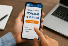 Pinjaman NON KUR BRI 2025: Plafon hingga Rp250 Juta, Pengajuan Bisa dari Rumah