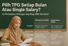 Pilih TPG Setiap Bulan Atau Single Salary? Ini Perbandingan Hitungan Gaji Bagi ASN Tersebut