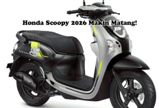Honda Scoopy 2026 Makin Matang! Skutik Retro-Modern Stylish dengan Fitur Canggih