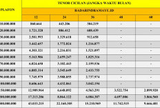 KUR Mandiri November 2025: Cicilan Ringan, Tenor Fleksibel, dan Suku Bunga Tetap 6% Per Tahun