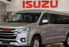 Isuzu 9 Seater: Primadona Baru Bisnis Travel 2026, Hemat Solar & Untung Maksimal!