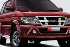  Cerdas Isuzu Panther dalam Harmoni Kepemilikan Tunai dan Kredit