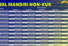 Bank Mandiri Tawarkan Pinjaman Tanpa Agunan Hingga Rp 20 Juta, Cicilan Ringan Sesuai Tenor