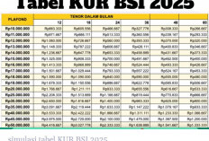 BSI Buka Pinjaman KUR Desember 2025, Plafon Hingga Rp500 Juta untuk UMKM