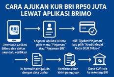 Pinjaman Modal Usaha 50 Juta dari KUR BRI, Buktikan Mudah Lewat Aplikasi BRImo