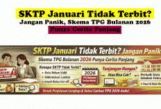 SKTP Januari Tidak Terbit? Jangan Panik, Skema TPG Bulanan 2026 Punya Cerita Panjang