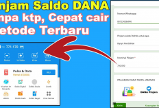 Pinjaman Saldo DANA Rp200.000 di Hari Minggu 23 November 2025, Ini Mekanisme Resminya