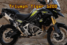 ​ Triumph Tiger 1200  Penjelajahan Tanpa Batas dan Dominasi Medan Ekstrem