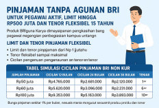 Pinjaman Tanpa Agunan BRI untuk Pegawai Aktif, Limit Hingga Rp500 Juta dan Tenor Fleksibel 15 Tahun