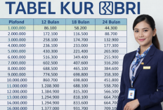 KUR BRI April 2026: Plafon hingga Rp500 Juta, Bunga Rendah Mulai 3 Persen