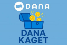 DANA Kaget Februari 2026 Masih Ditunggu, Ini Cara Cek Link Resmi
