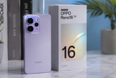 OPPO Reno16 5G Resmi di Indonesia, Harga Mulai Rp11 Jutaan