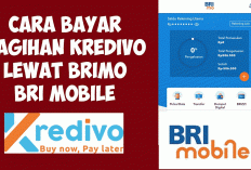 Anti Gagal! Panduan Kilat Bayar Tagihan Kredivo Langsung dari BRImo: Cepat, Aman, dan Tanpa Ribet