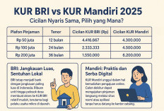 KUR BRI vs KUR Mandiri 2025: Cicilan Nyaris Sama, Pilih yang Mana?
