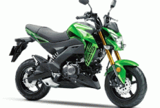 Kawasaki Z125 Pro 2025: Motor Mini Rasa Big Bike, Gaya Garang untuk Rider Urban