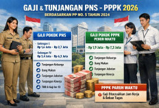 Skema Gaji dan Tunjangan PNS PPPK Penuh Waktu dan Paruh Waktu Tahun 2026, Ini Rincian Lengkapnya