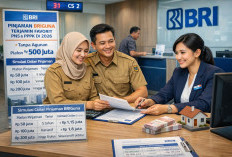 BRI Siapkan Pinjaman Non KUR hingga Rp500 Juta untuk PNS dan PPPK Tahun 2026
