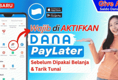 Cara Mengaktifkan DANA Paylater (DANA Cicil) 2026: Syarat, Langkah, dan Pengalaman Saya