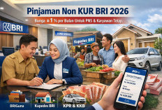 Pinjaman Non KUR BRI 2026, Alternatif Kredit Fleksibel untuk PNS dan Karyawan Tetap