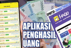 13 Aplikasi Penghasil Dollar Terpopuler Januari 2026, Terbukti Membayar Tanpa Modal Besar