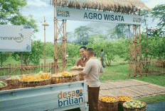 Program CSR BRI  Raih Pengakuan Global Lewat Dua Penghargaan Internasional